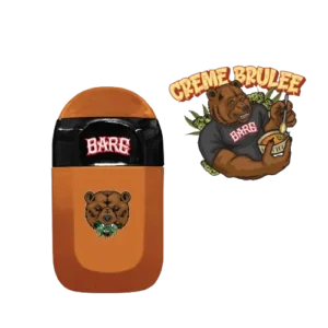 BARE 2G DISPOSABLES VAPES - ORANGE CREME BRULEE