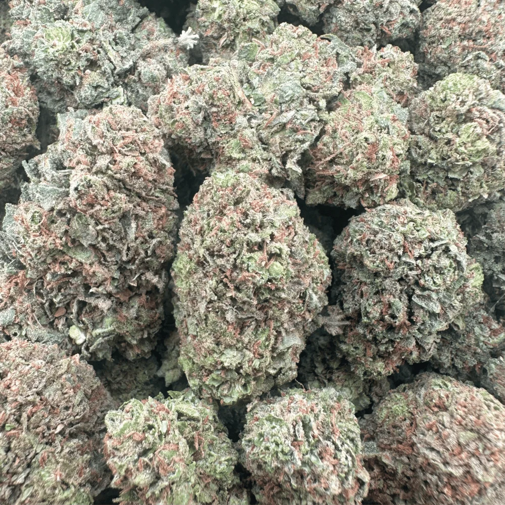 Chem Dawg – Hybrid - 7G