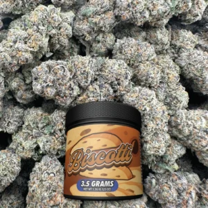 Biscotti - Hybrid