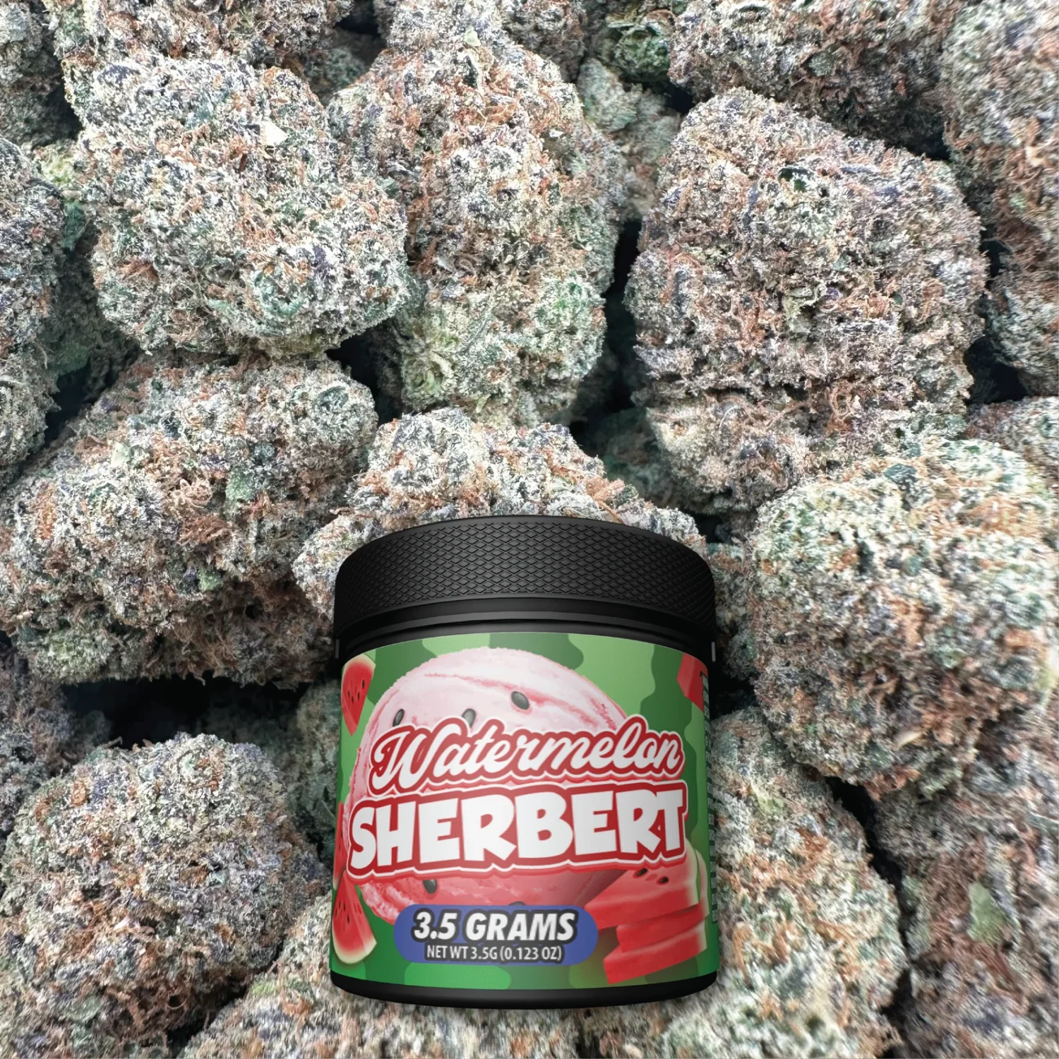 Watermelon Sherbert - Hybrid - Image 2