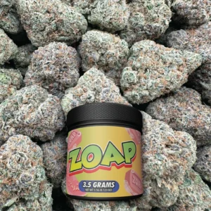 Zoap - Hybrid