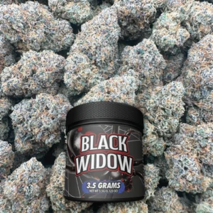 Black Widow - Hybrid