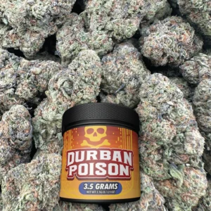 Durban Poison - Sativa