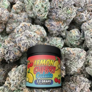 Lemon Cherry Gelato - Hybrid