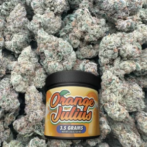 Orange Julius - Sativa
