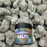 Rainbow Belts - Hybrid