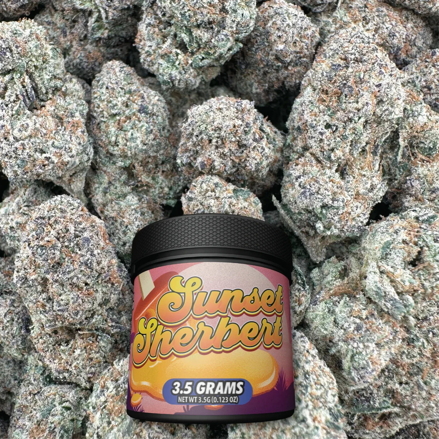 Sunset Sherbert - Hybrid - Image 2