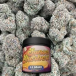 Sunset Sherbert - Hybrid