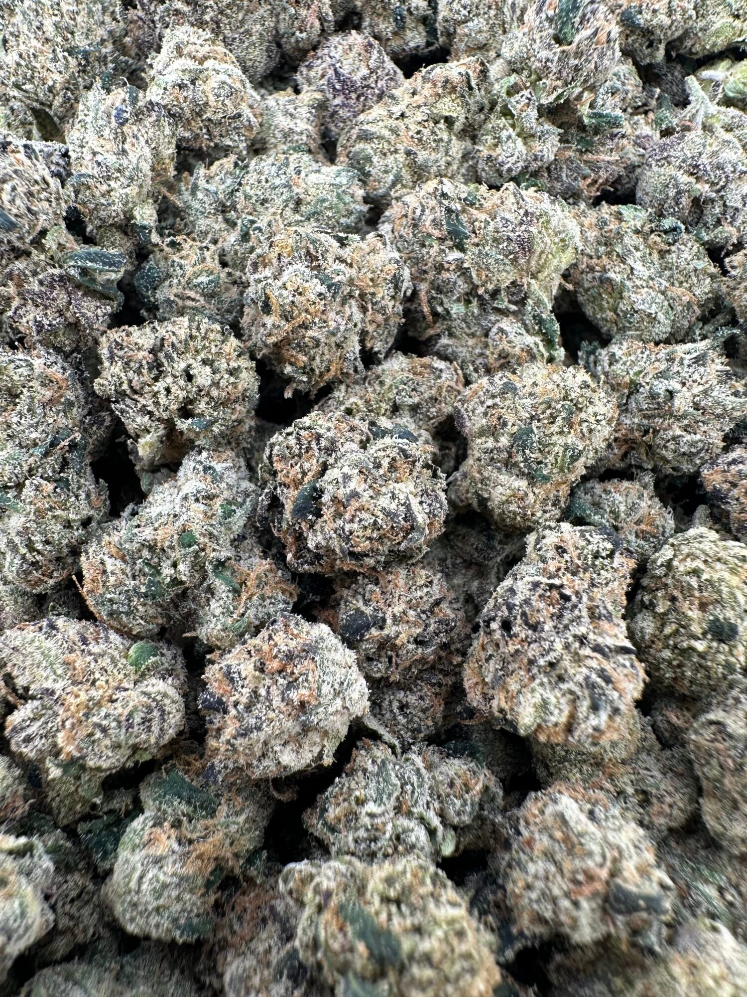 EXOTIC INDOORS SMALLS - Hybrid - Image 3