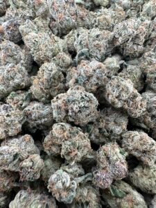 EXOTIC INDOORS SMALLS - Hybrid
