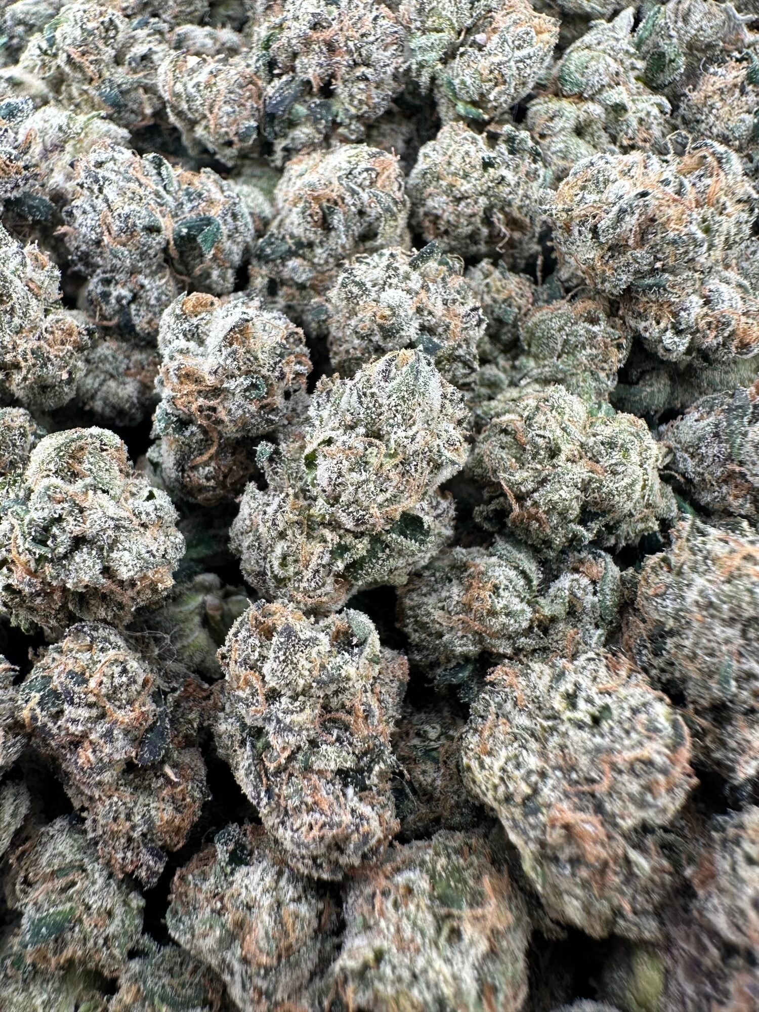 EXOTIC INDOORS SMALLS - Hybrid - Image 4