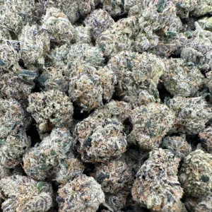 EXOTIC INDOORS SMALLS - Hybrid