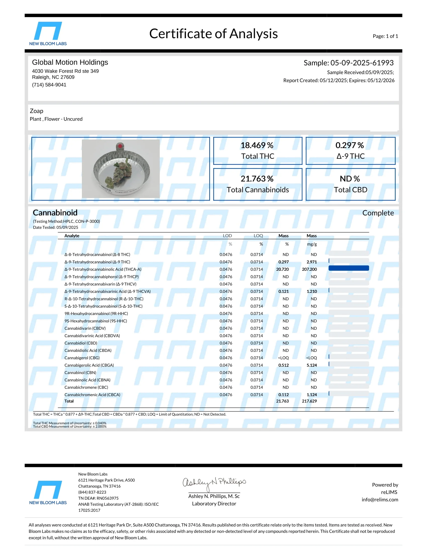 Zoap - Hybrid - Image 3