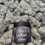 Black Gelato - Hybrid