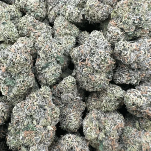 Black Gelato - Hybrid - 3.5G