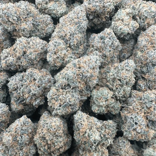 Black Widow - Hybrid - 3.5G