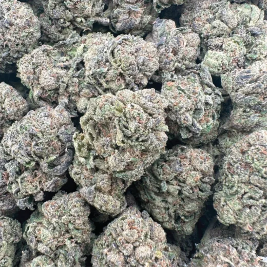 Midnight Crasher - Hybrid - 7G