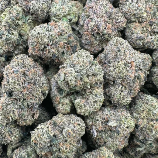 Watermelon Sherbert - Hybrid - 14G