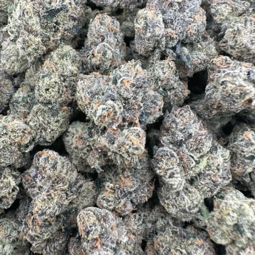 White Cherry Gelato - Hybrid - 14G