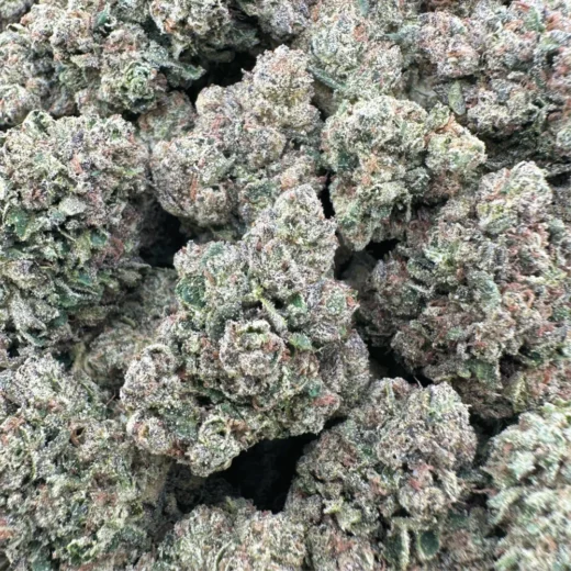 White Gusherz - Sativa - 28G