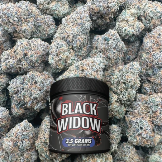 Black Widow - Hybrid