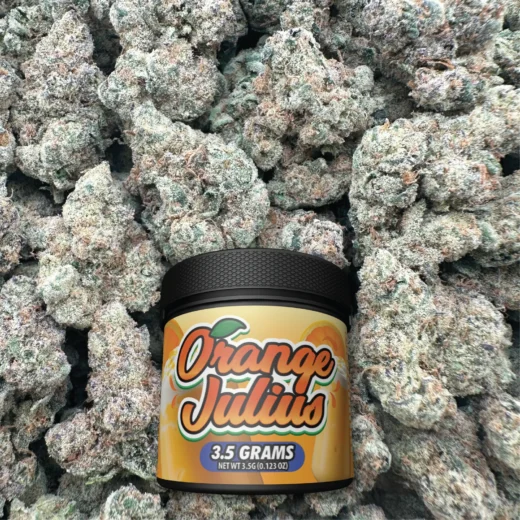 Orange Julius - Sativa