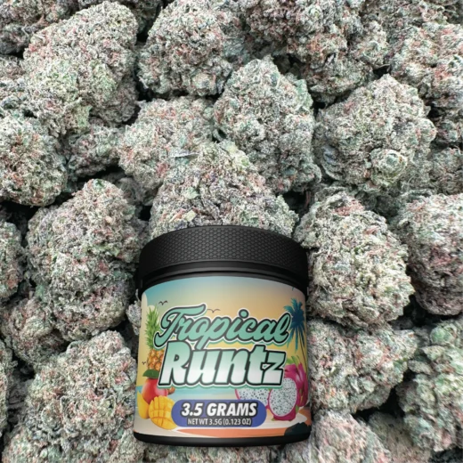 Tropical Runtz - Hybrid